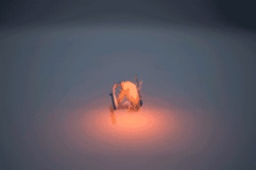 蓄能爆炸特效