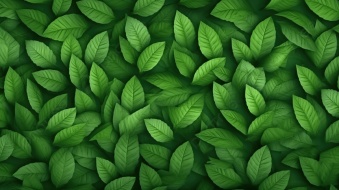 植物贴图0920015