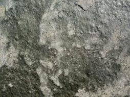 石系贴图0920788