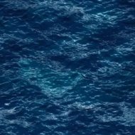 水系贴图0920924