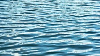 水系贴图09201001