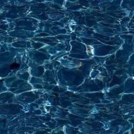 水系贴图09201005