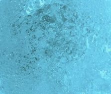 水系贴图09201102