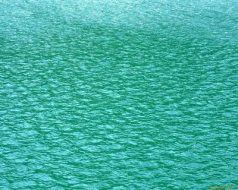 水系贴图09201124