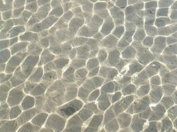水系贴图09201270
