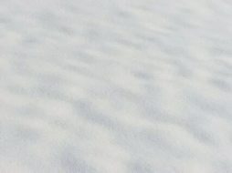 冰雪贴图0920037