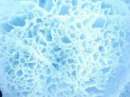 冰雪贴图0920035