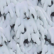 冰雪贴图0920163