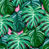 植物贴图09201264