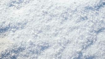冰雪贴图0920314