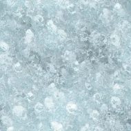 冰雪贴图0920444