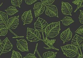 植物贴图09201338