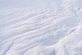 冰雪贴图0920598