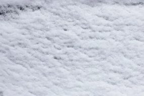 冰雪贴图0920632