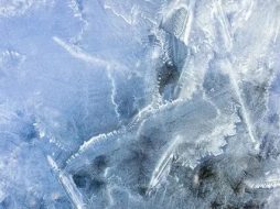 冰雪贴图0920651
