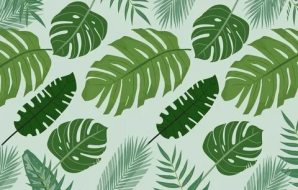 植物贴图0920163