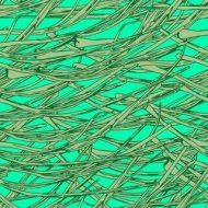 植物贴图0920282