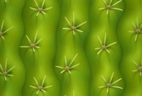 植物贴图0920622