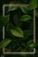 植物贴图0920697