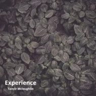 植物贴图0920840