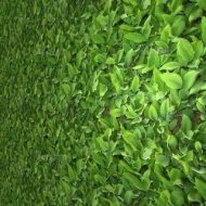 植物贴图0920874