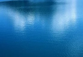 水系贴图0920265