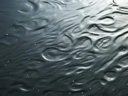 水系贴图0920283