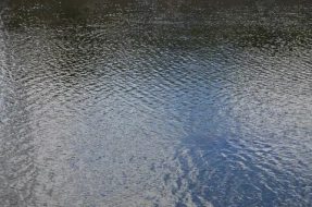 水系贴图0920281