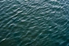 水系贴图0920861