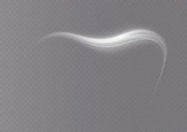 风系贴图0920056