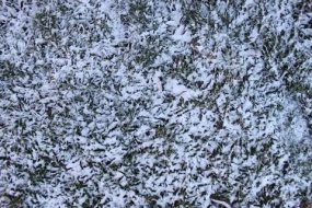 冰雪贴图0920915