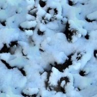 冰雪贴图0920926