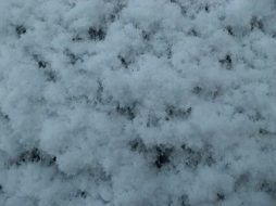 冰雪贴图0920937