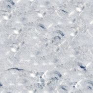 冰雪贴图0920973