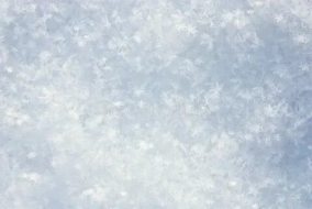 冰雪贴图09201008