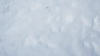 冰雪贴图09201055