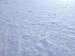 冰雪贴图09201071