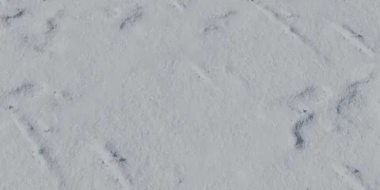 冰雪贴图09201095