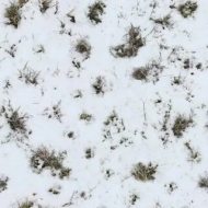 冰雪贴图09201154