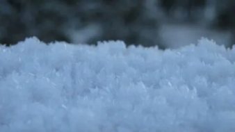冰雪贴图09201171