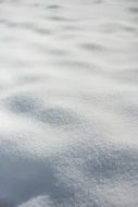 冰雪贴图09201258