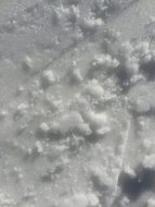 冰雪贴图09201503