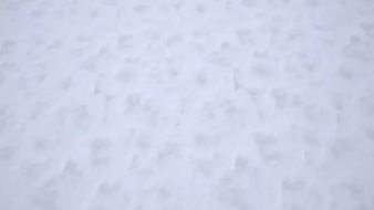冰雪贴图09201595
