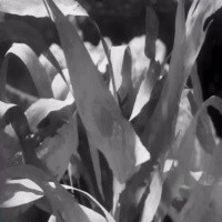 影视大片特效制作流程赏析