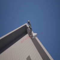 UE5快速创建鲨鱼AI