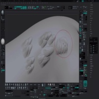 Zbrush储存变换目标功能