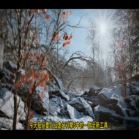 UE5.7 MEGAPLANTS工具